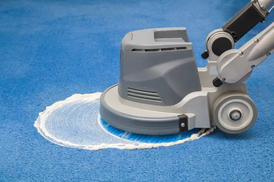 Superior Carpet Washing Service Inlet Beach, FL