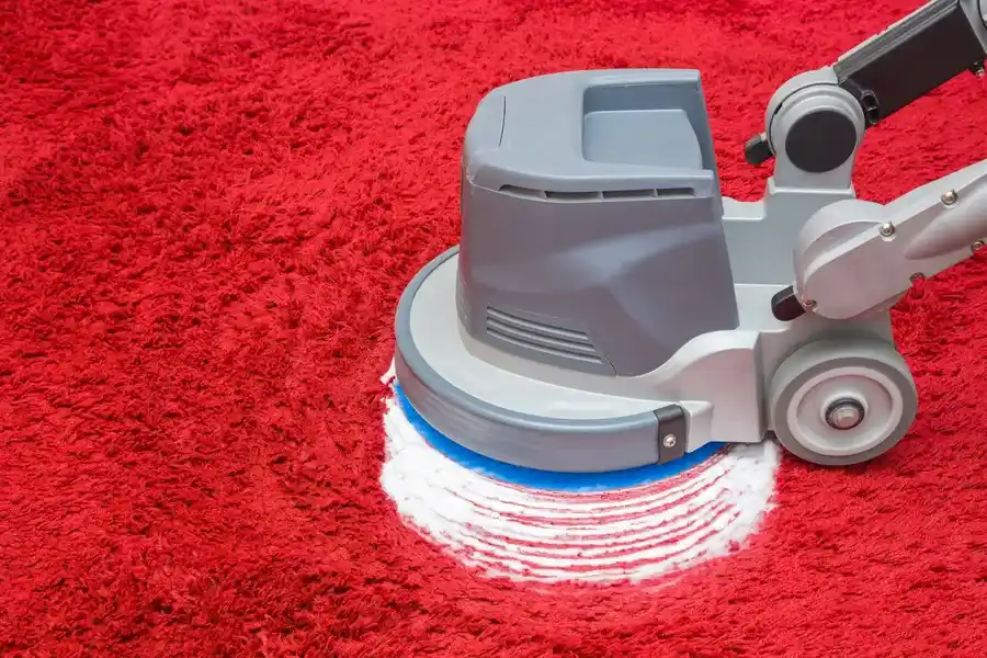 The Importance Of Carpet Washing After Pet Accidents Inlet Beach, FL