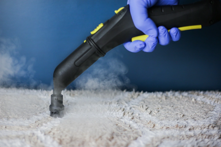 Steam Cleaning